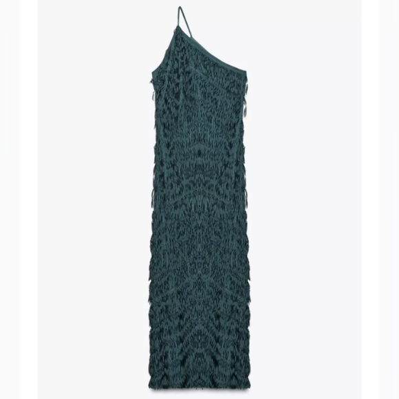 Zara Fringe Midi Dress - Picture 6 of 8